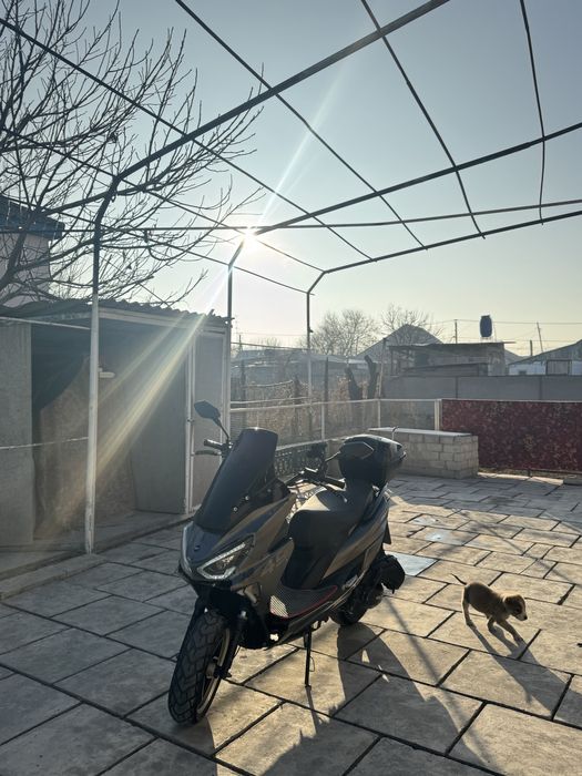 Махси 150куб учотпен