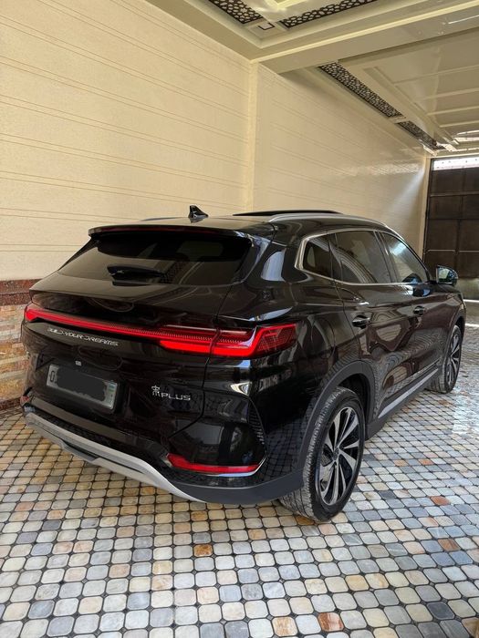 Byd chempion 23  605kv