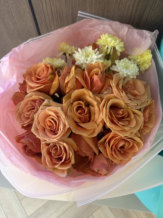 Продам цветы новые