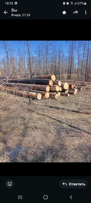 Продажа леса,кругляк 6 м