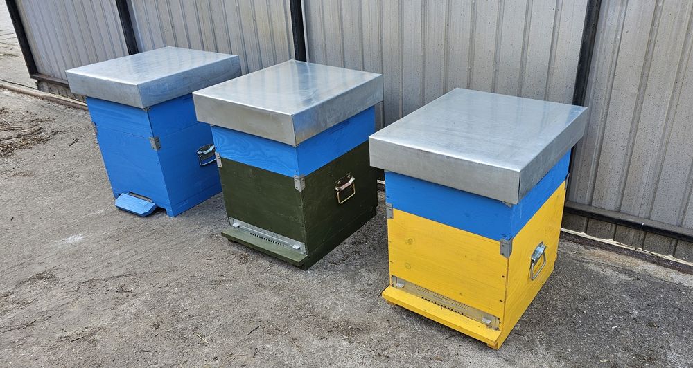 Stupi albine noi, complet echipati