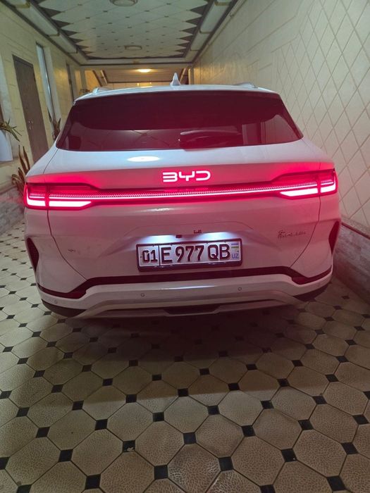 BYD CHAMPION restaylin