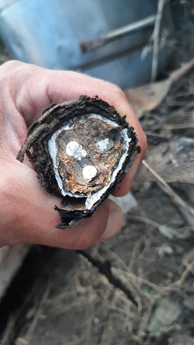 Кабель АСБГ 3×25 (ож) 10, новый