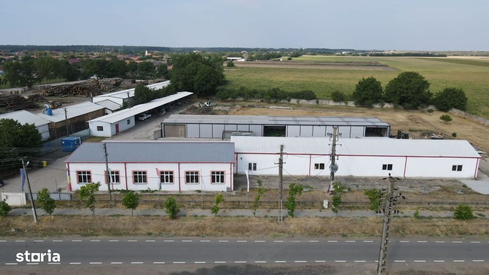 Hale depozitare/producție 2.000 mp si 10.000 mp teren în Pecica