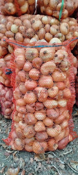 Ciapa plata cantitate mare