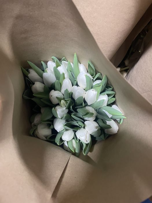 Тюльпаны оптом Астана