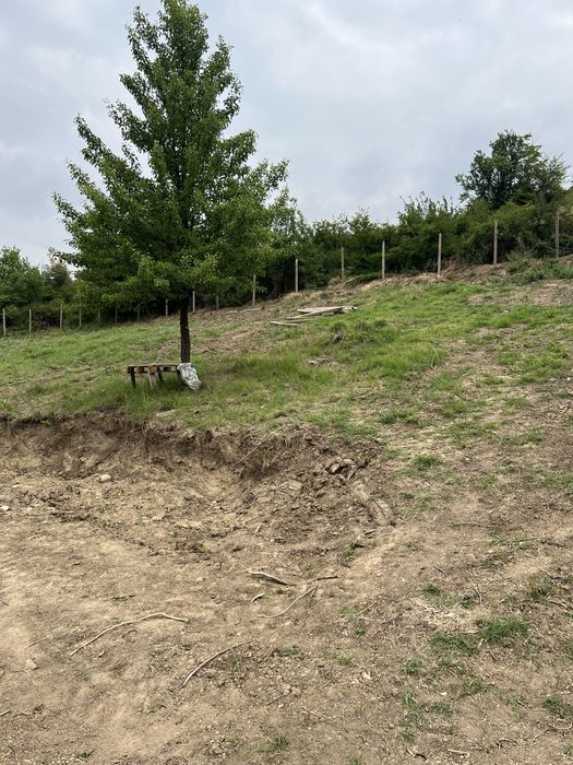 Продава се Парцел в с. Ореш, Област Велико Търново - 2500 кв.м за 3 €/кв.м - Снимка #14