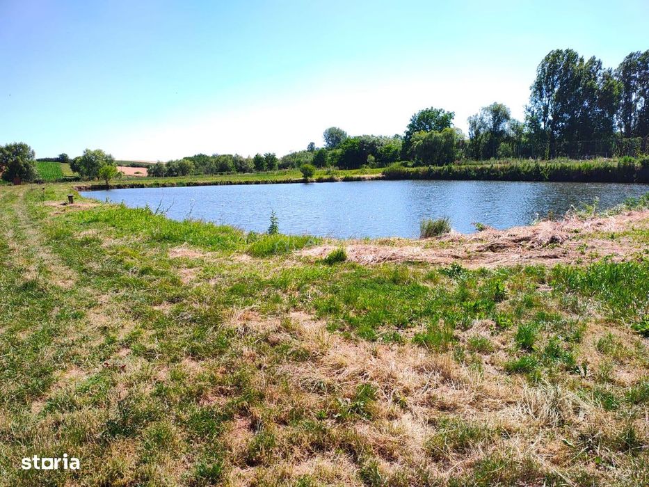 Teren 18.247 mp cu balta de pescuit – Misca, Comuna Chislaz, Bihor