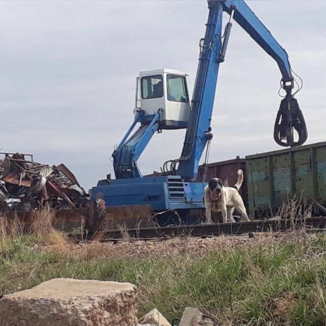 Приём металла ДОРОГО!!!