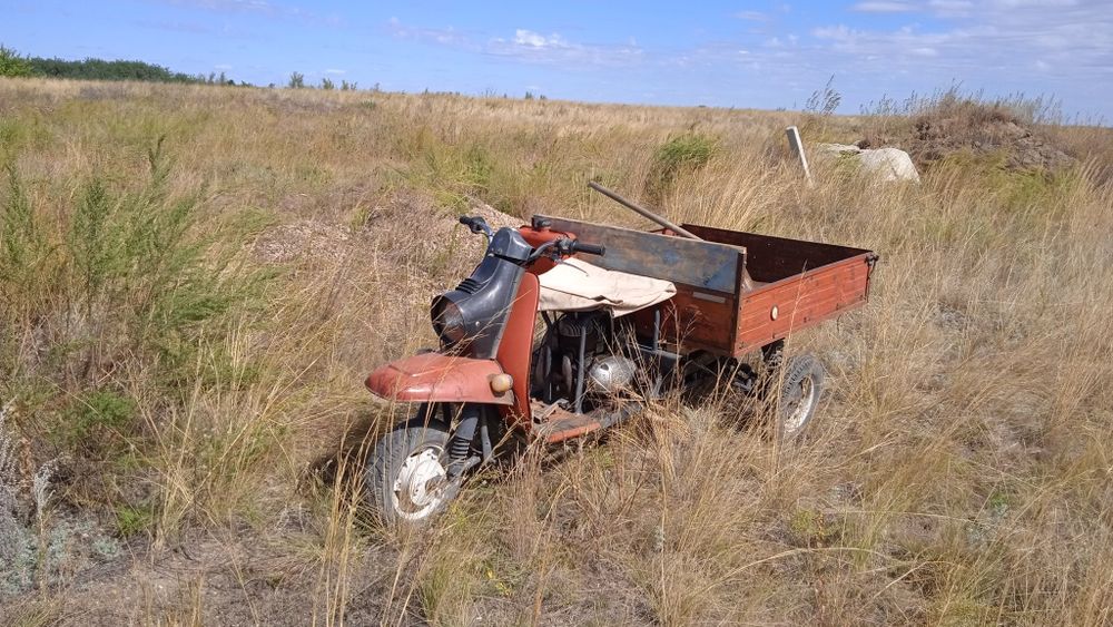 Продам муравей..