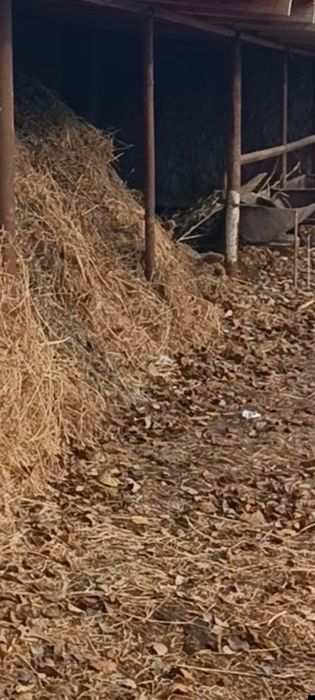 Беда таранг 3 телечка сотилади