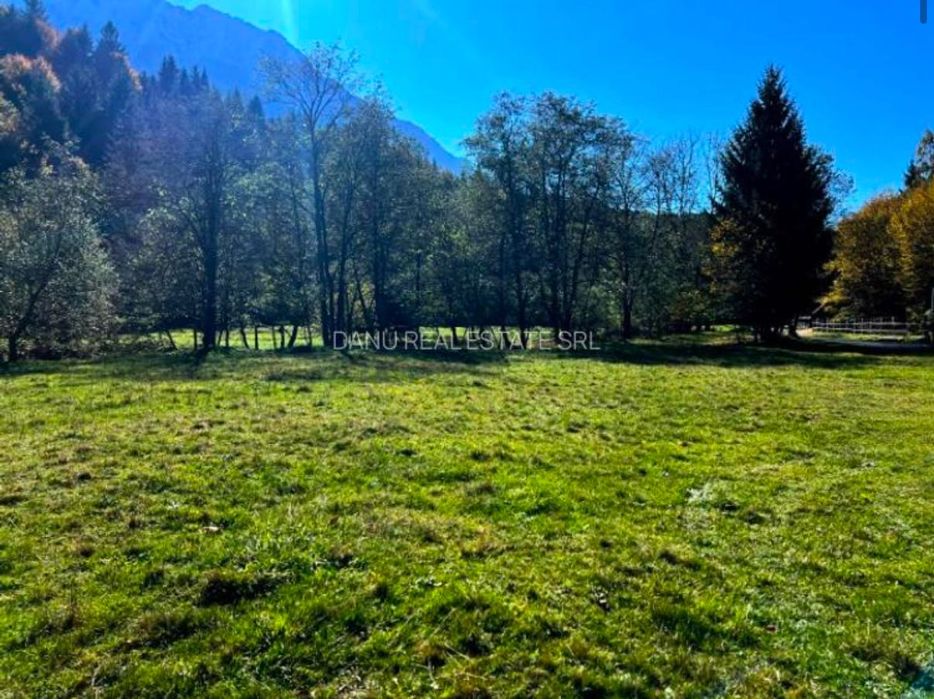 Teren Plaiul Foii intravilan, la drumul principal