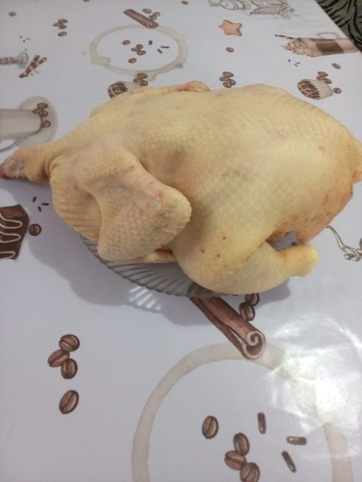 Продам курочек домашние бролеры