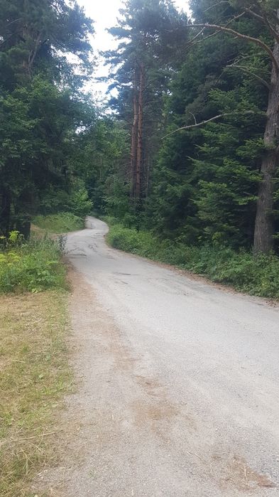 Продава парцел в курорта Паничище