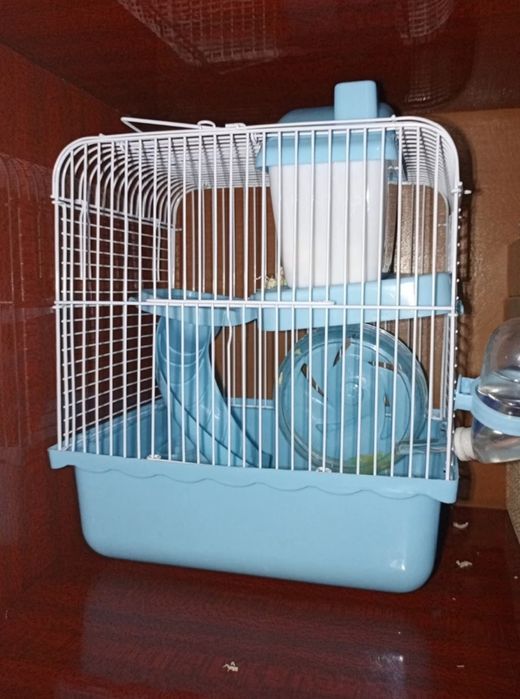 Продам замечательных хомячков!