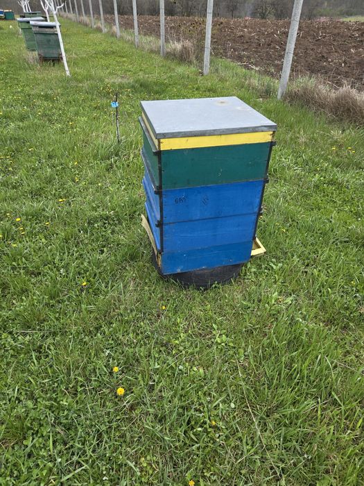 Stupi, lazi, fund antivarooua, caturi