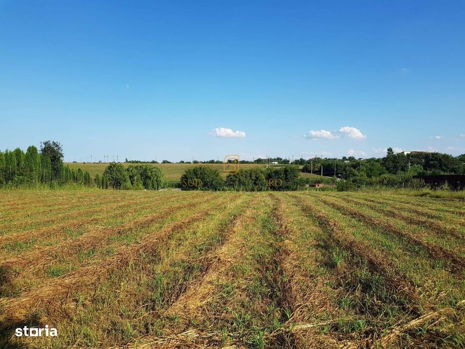 Teren intravilan – Adunatii Copaceni | 3.399 mp | Ideal investitie