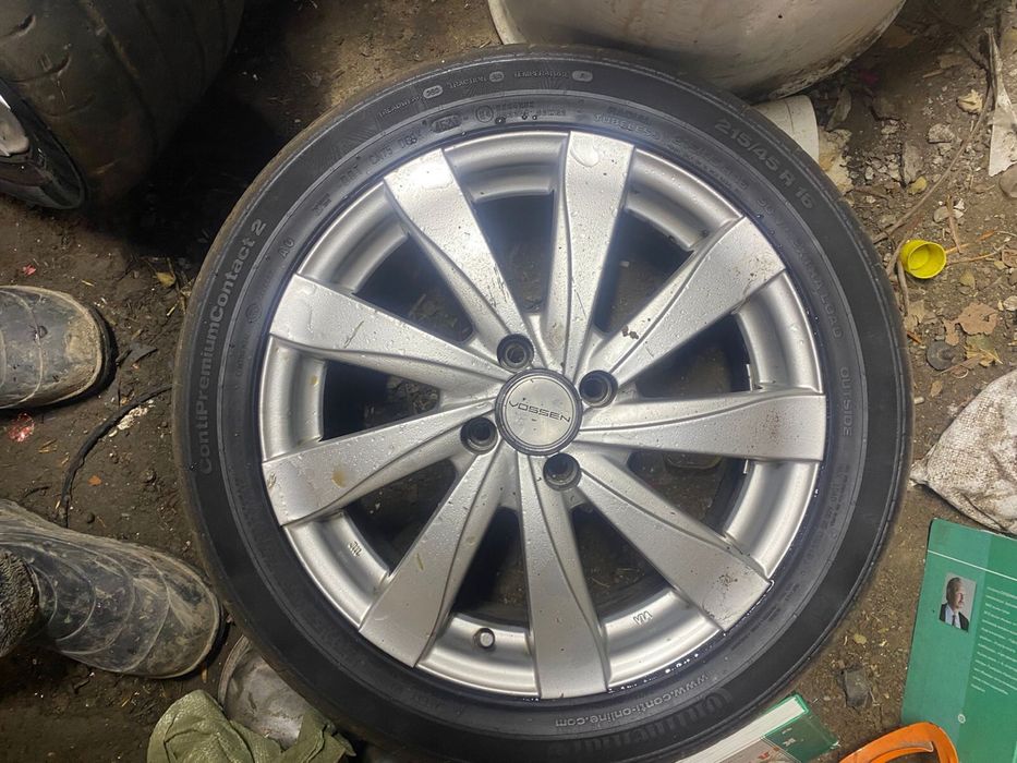 Ромашка торус воссен