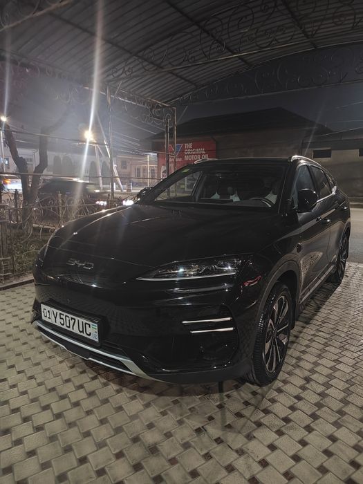 BVD чимпион SMART