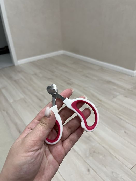 Набор для кошки/ котенка