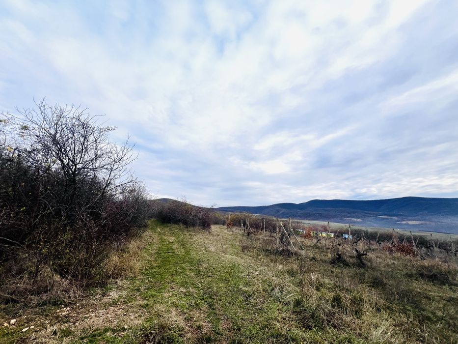 Șiria teren extravilan pe deal