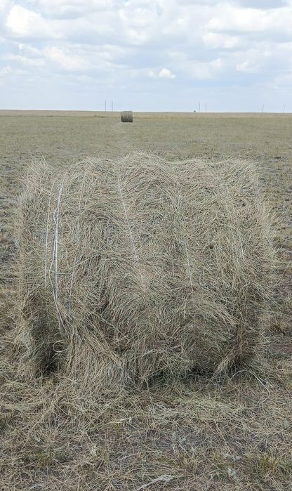 Шөп! Рулон, тюк разнотравье