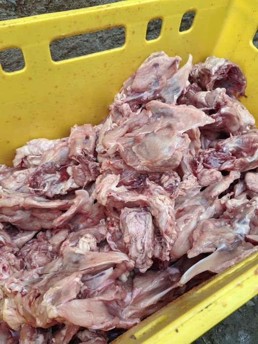 Колбаса для собак и кошек