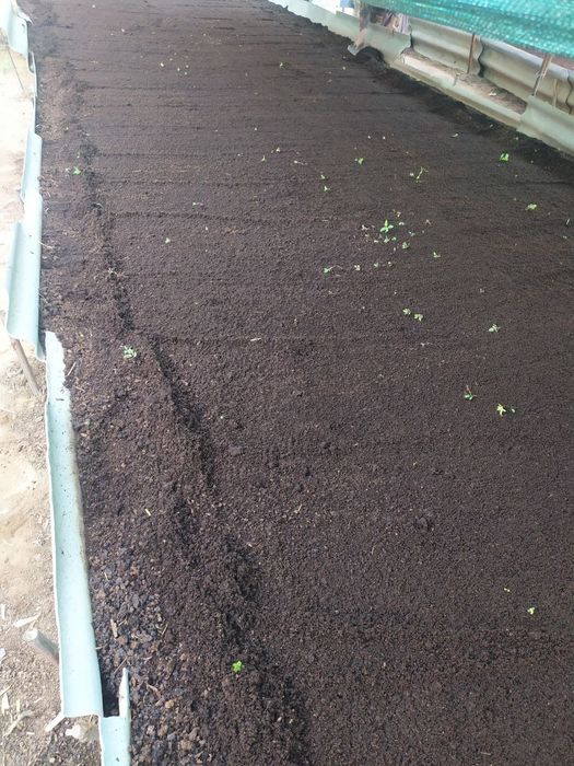 Биогомус сифатига жавоб берамиз