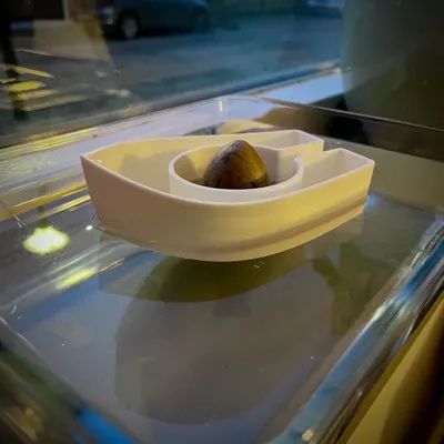 Suport Germinare Avocado (Avocado Sprouter) - Design Plutitor