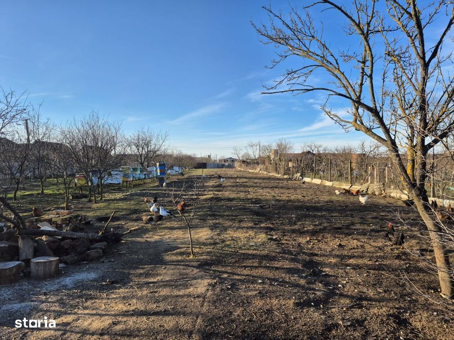Casa Loc. Sântana,25km de Arad, gradină 1933 mp front stradal dublu