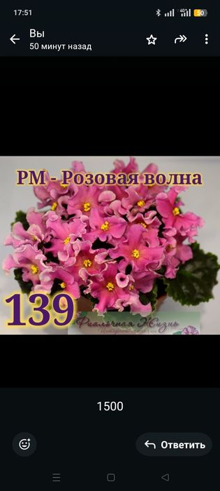 Продам сортовые фиалки