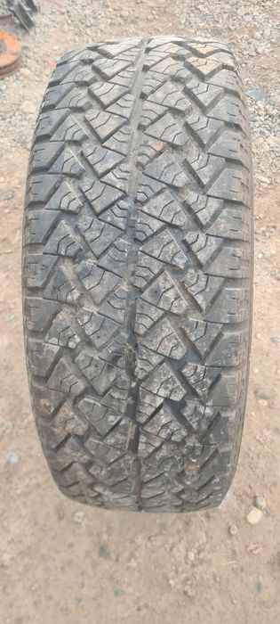 Срочно продам шина 1 штук