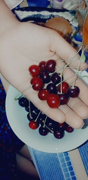 Шие/ Вишня. Смародина/Қарақат