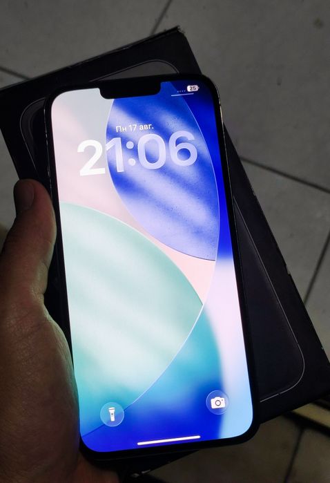 iPhone 13 Pro Max