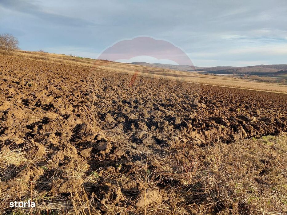 Teren 7,200mp Secuieni / DN Principala