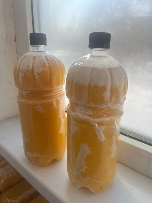 Продам 2 бутылки мёда