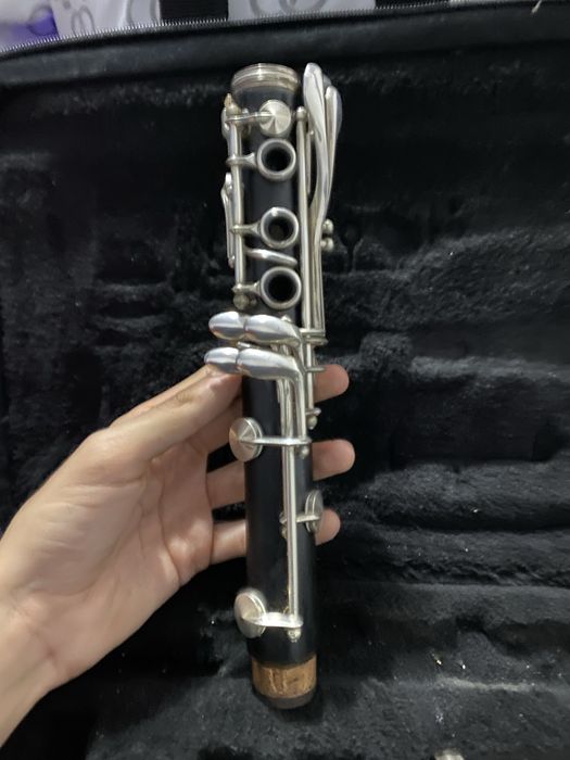 Vand clarinet buffet crampon BC20