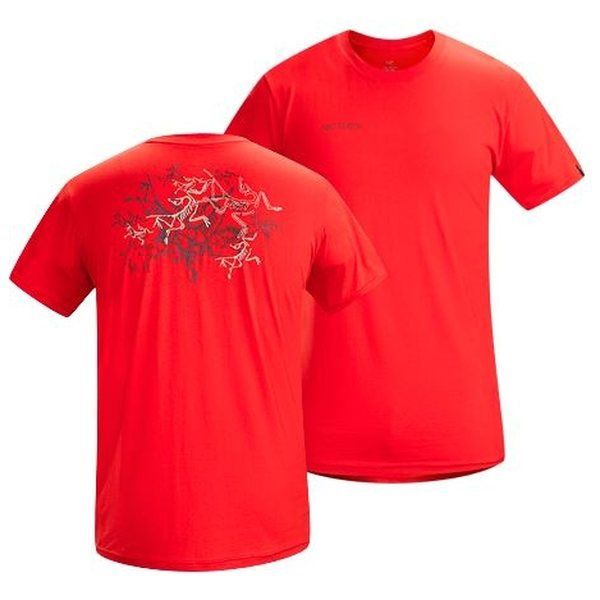 Arcteryx,Montane, Icebreaker мъжки спортни тениски