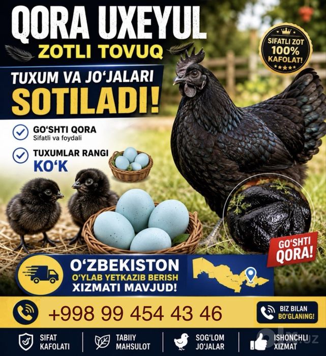 УХЕЙИЛЮЙ Тухумига заказ оламан
