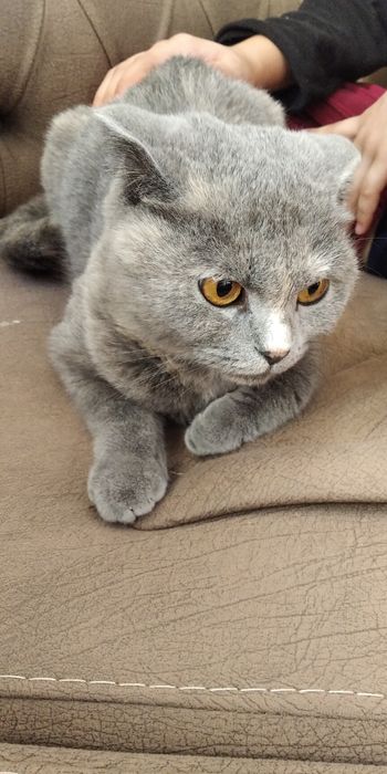 Katta vagina porno video