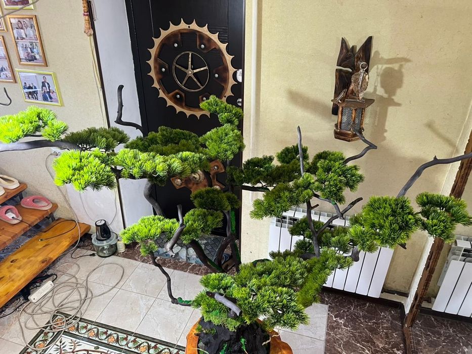 Бонсай ручная работа