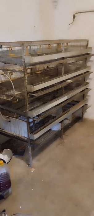 Клетки для перепелов