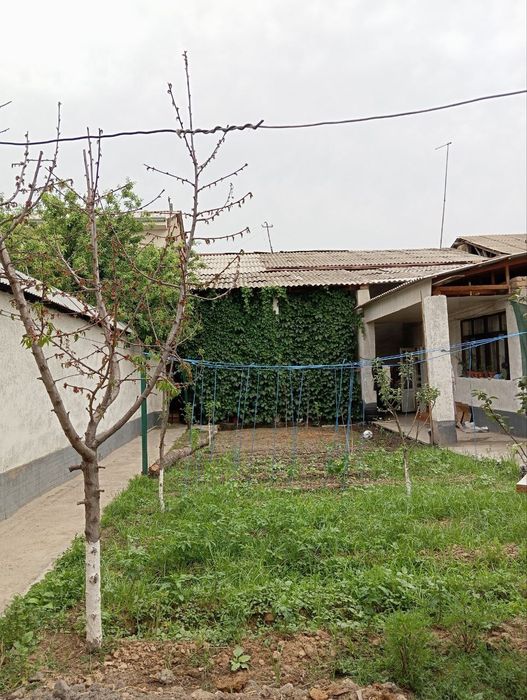 Sergili tumanida hovli sotiladi