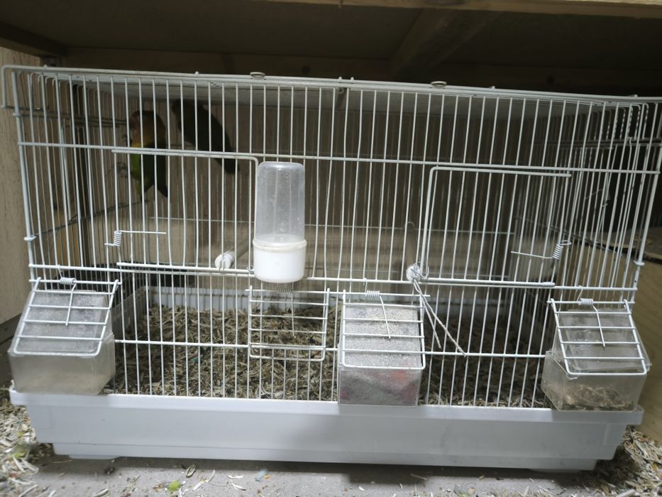 Клетки и вальеры для канареек