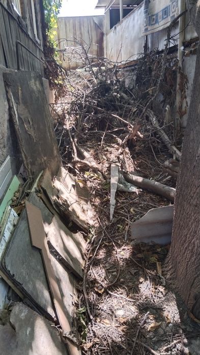 Отдам даром , самовывоз