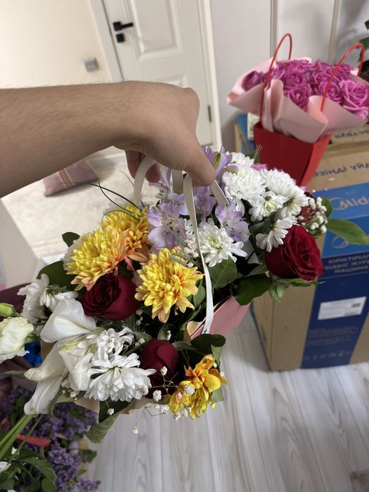 Продам красивые Цветы