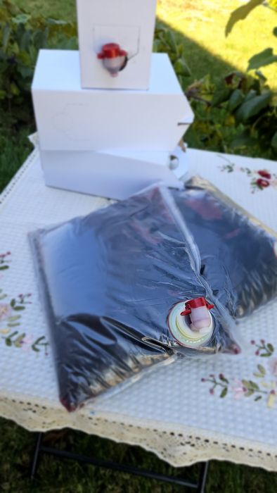 Suc de Aronia punga de 3 litri