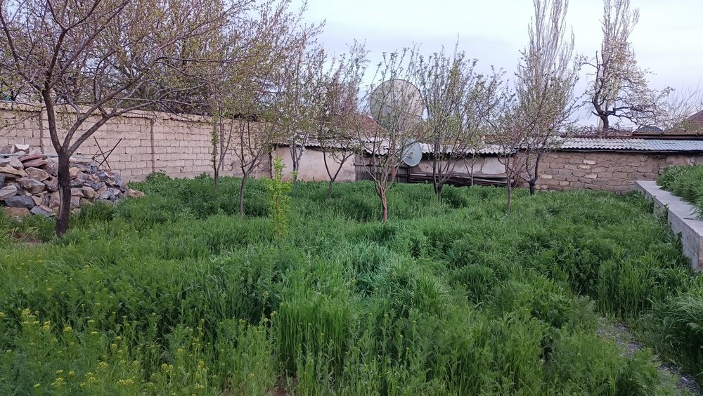 Частный дом продам или обмен.