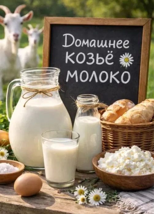 Табиғи ешкі сүті