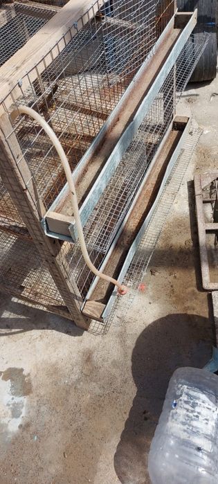 Бөдененің ұясы сатылады